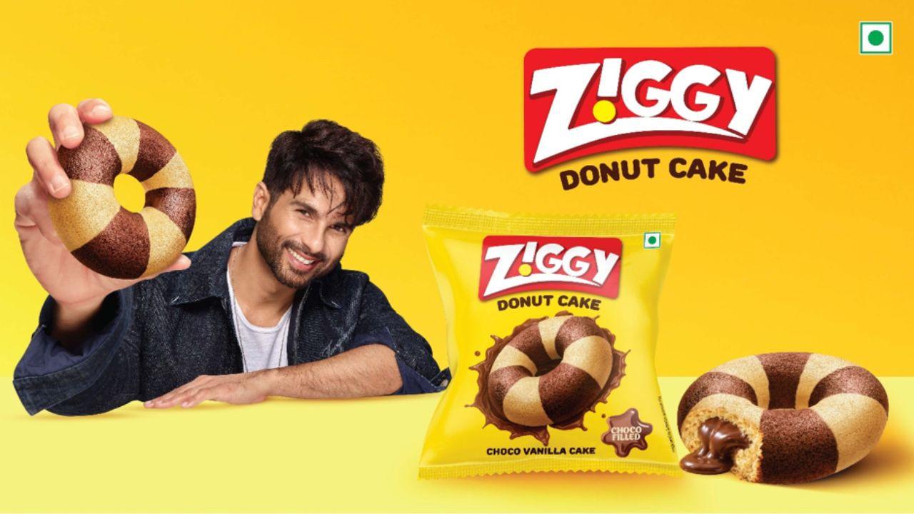 Ziggy Donut Cake.