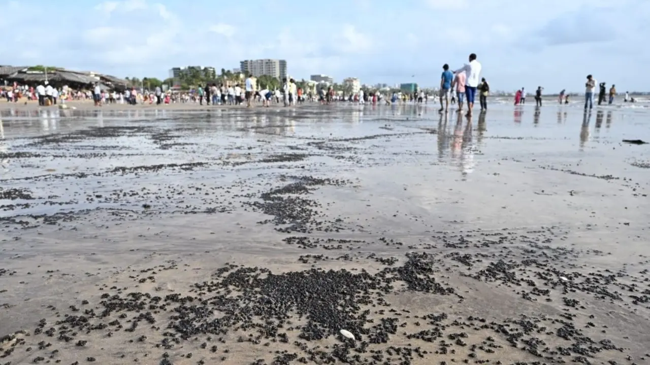 IN PHOTOS: Juhu Beach hit by tar balls after high tide, cleanup underway Dark, sticky tar balls wash ashore along Mumbai's Juhu Beach following the afternoon high tide on Sunday. PIC/SATEJ SHINDE