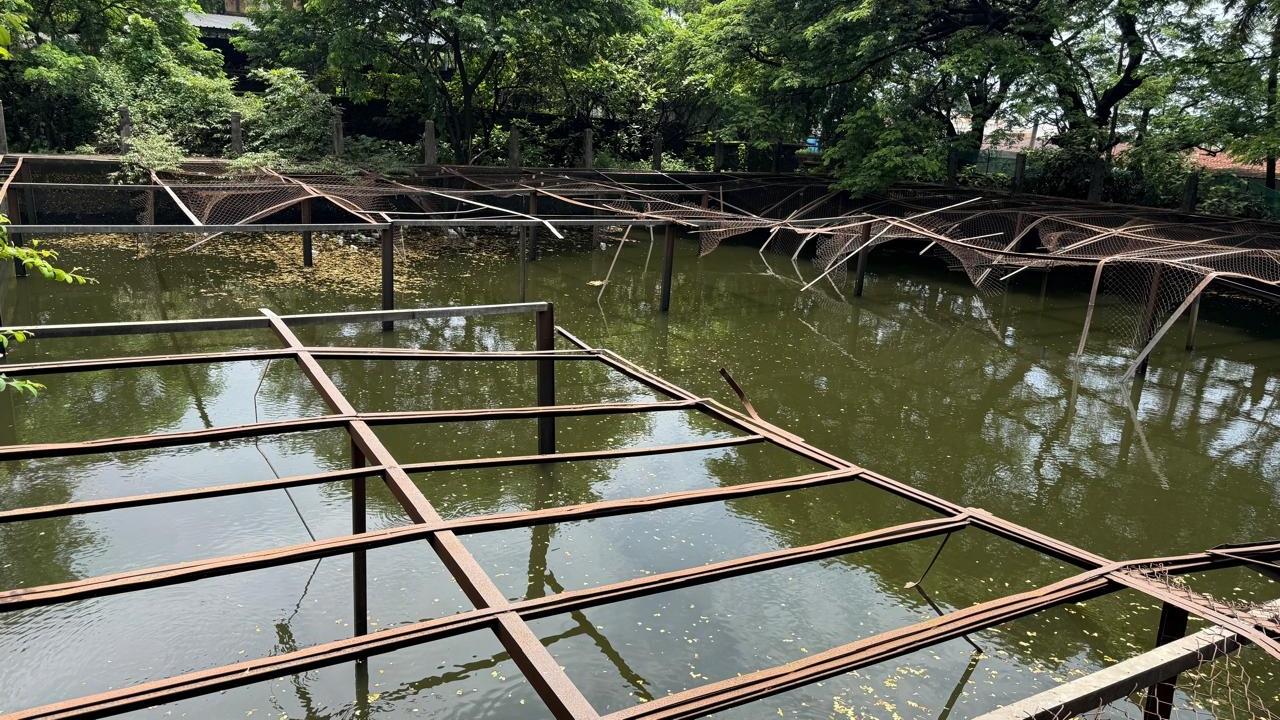 The deceased were identified as Zaib Patel, 15, a Class 10 student and Nakhib Patel, 13, a Class 9 student. Both boys were absent from school, official said The deceased were identified as Zaib Patel, 15, a Class 10 student and Nakhib Patel, 13, a Class 9 student. Both boys were absent from school, official said