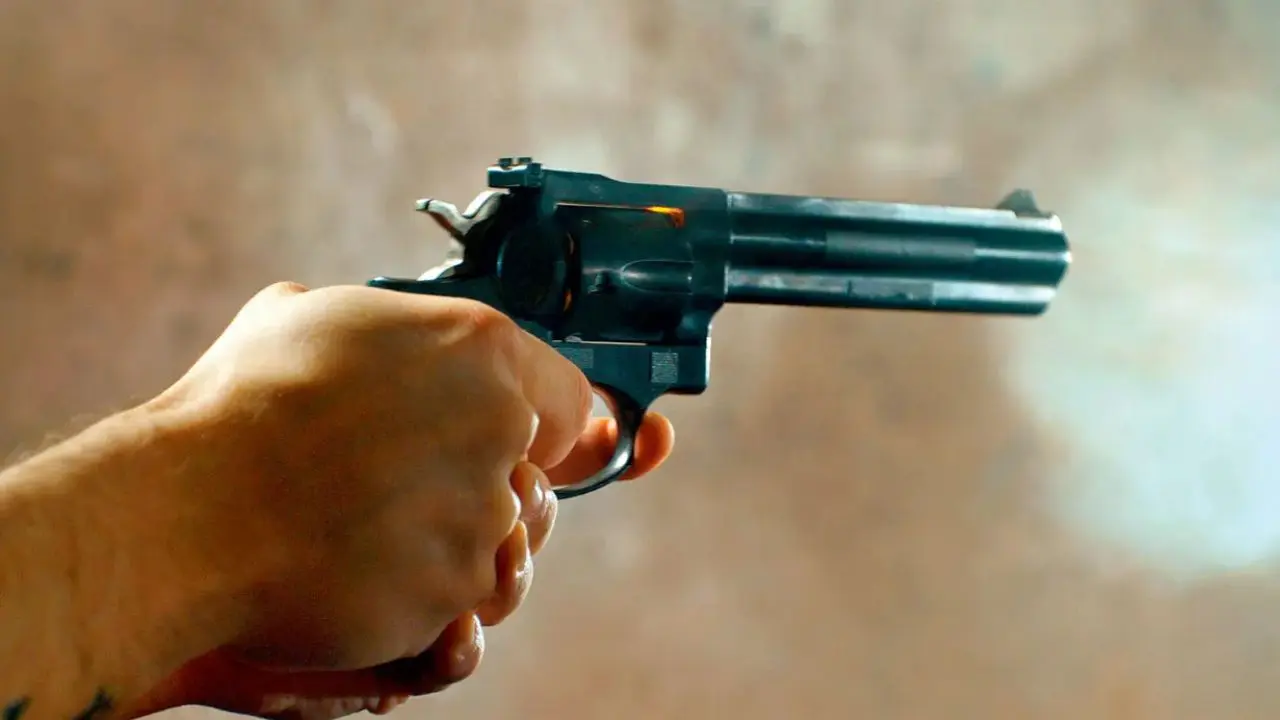 Arms cache recovered from TMC leader’s home in Murshidabad, 7 firearms seized