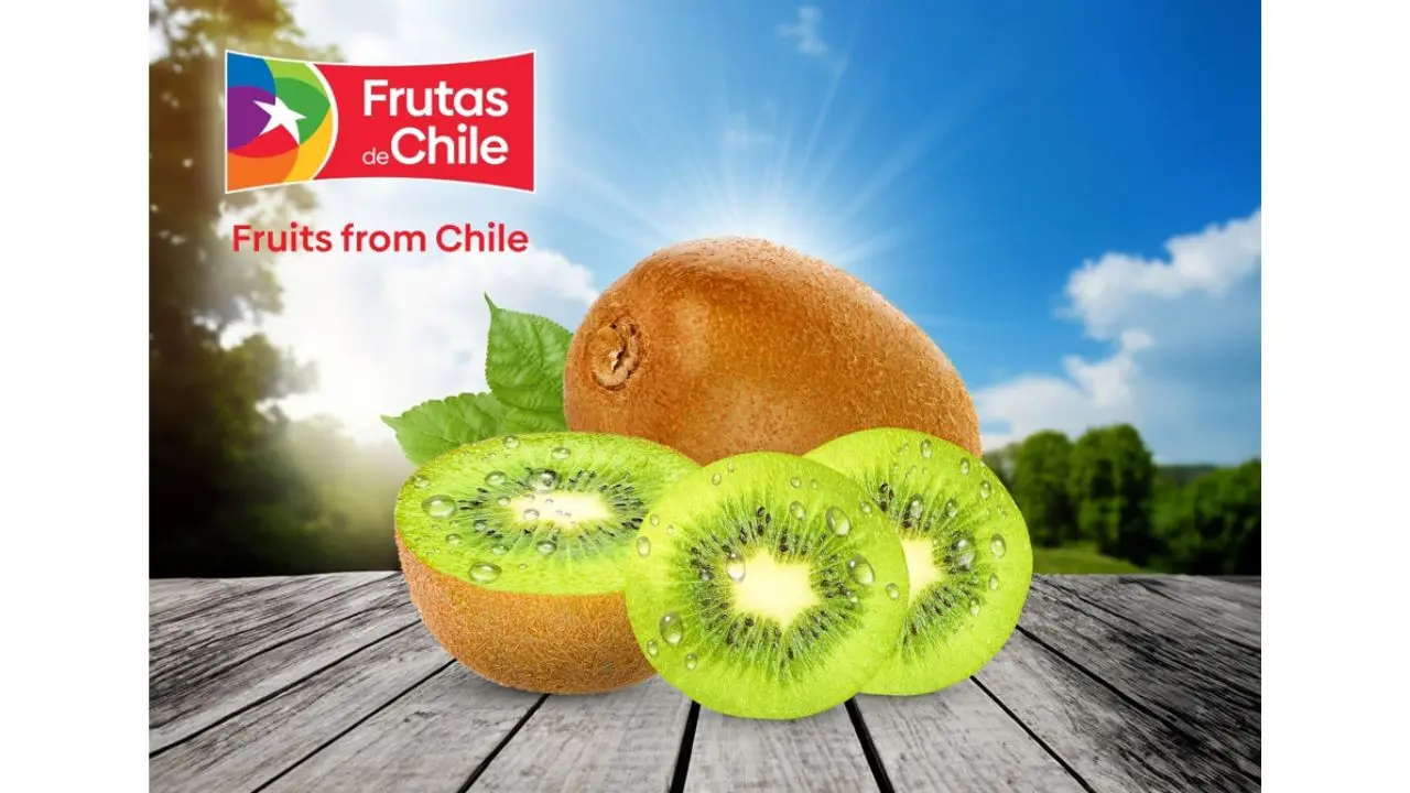 Festive Indulgence Meets Healthy Snacking: Celebrate the Season with Chilean Kiwifruit Chilean Kiwifruit.