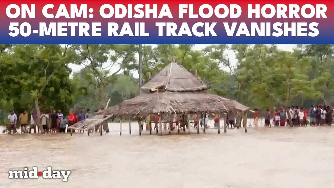 Odisha flood crisis: Rivers swallow villages, 3.3 lakh evacuated