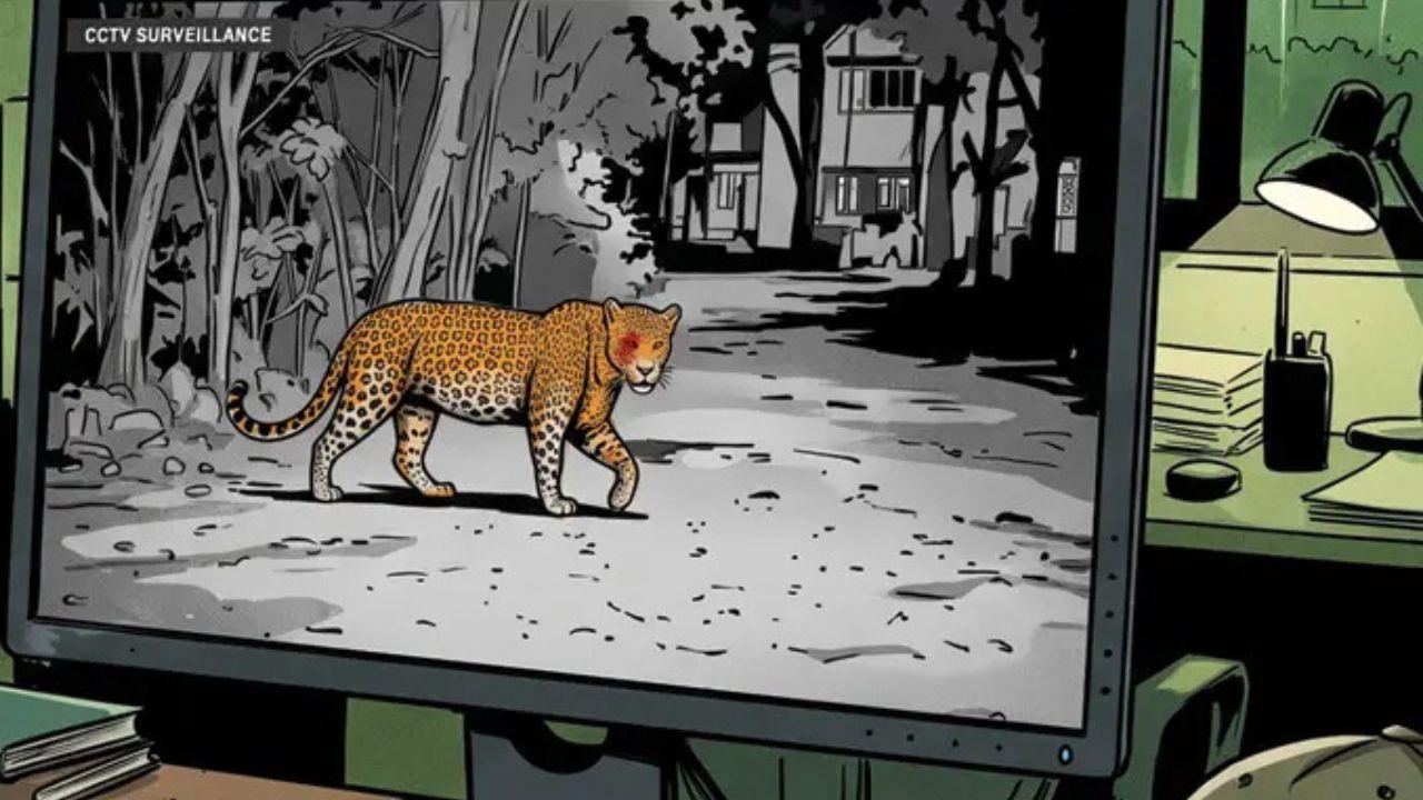 An injured leopard spotted on the IIT Bombay campus is being monitored by the forest department as officials prepare for its rescue An injured leopard spotted on the IIT Bombay campus is being monitored by the forest department as officials prepare for its rescue
