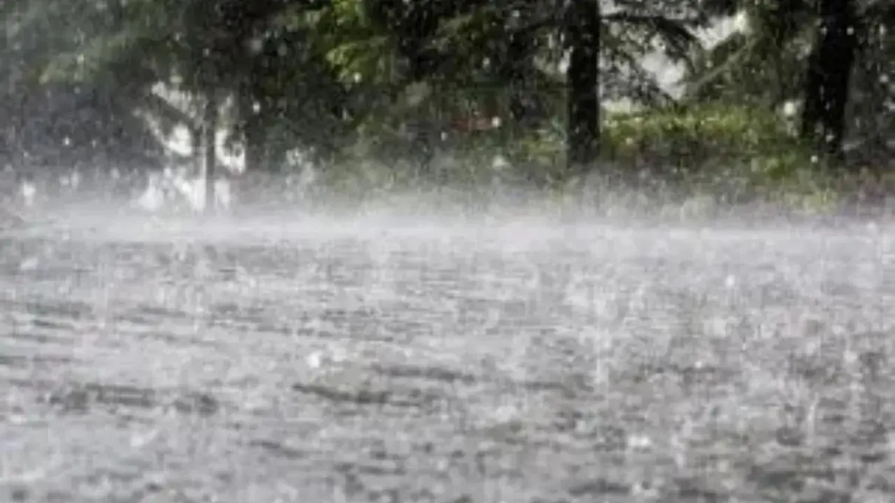 Heavy rain likely in Chengalpattu, Villupuram; Chennai may get showers