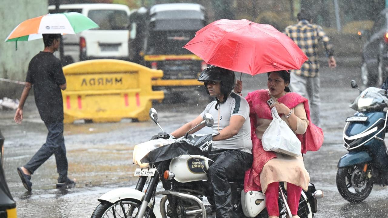 From Thursday to Saturday, the rainfall intensity is expected to ease to light to moderate, with the probability of rain remaining "very likely" From Thursday to Saturday, the rainfall intensity is expected to ease to light to moderate, with the probability of rain remaining "very likely"
