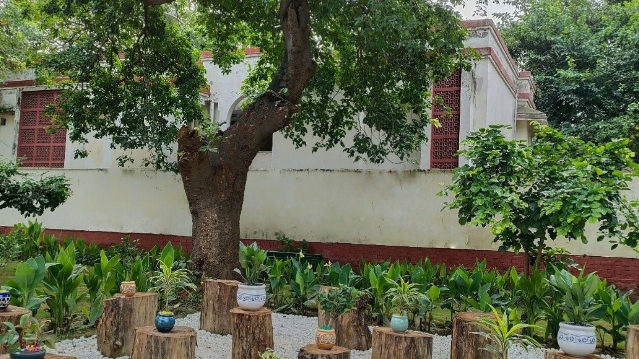 <p>Bal Vatika, a specially curated space for children, blends learning and play with a story centred around a 225-year-old Sheesham tree</p>