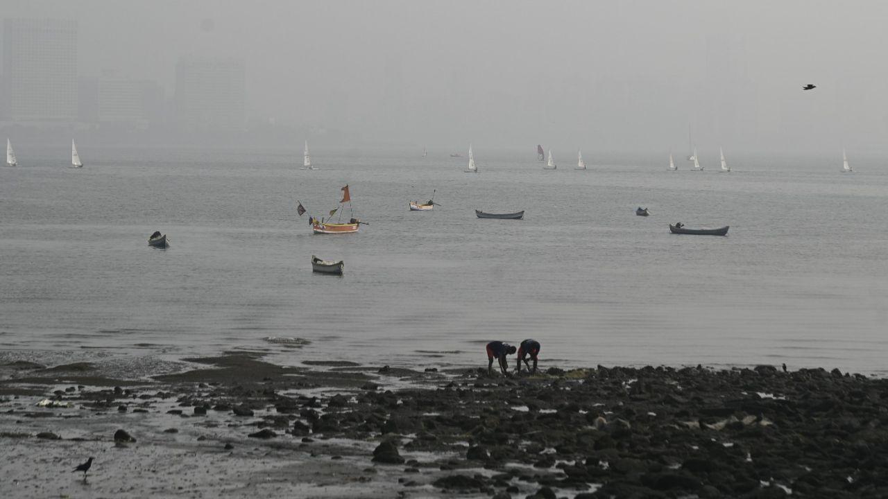 Several parts of the city recorded higher AQI levels, reflecting a worsening pollution trend. The Bandra Kurla Complex (BKC), a major commercial hub, registered an AQI of 166, edging close to the poor category