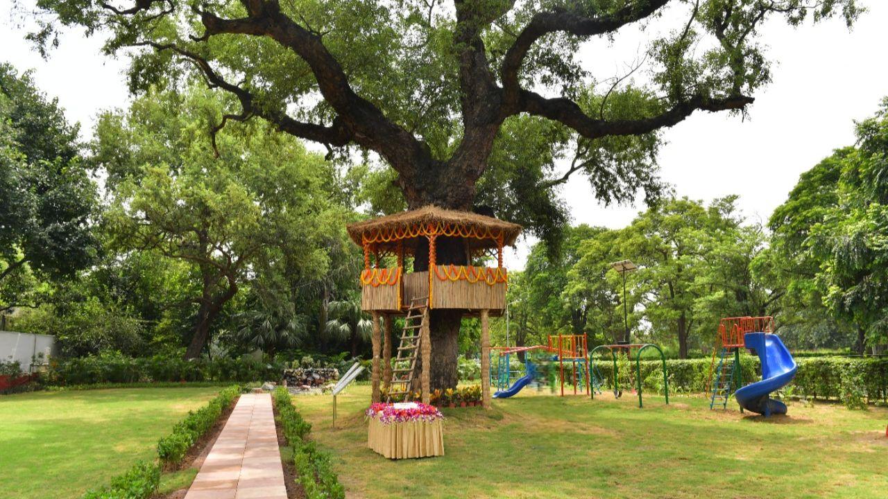 <p>Tree house standing tall in the Amrit Udyan that offers visitor-friendly facilities including shuttle services, food court, drinking water, restrooms, medical care, wheelchairs, cloak room and a souvenir shop</p>