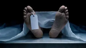 Mumbai LIVE: Man dies 10 days after SUV hits scooter; wife still critical