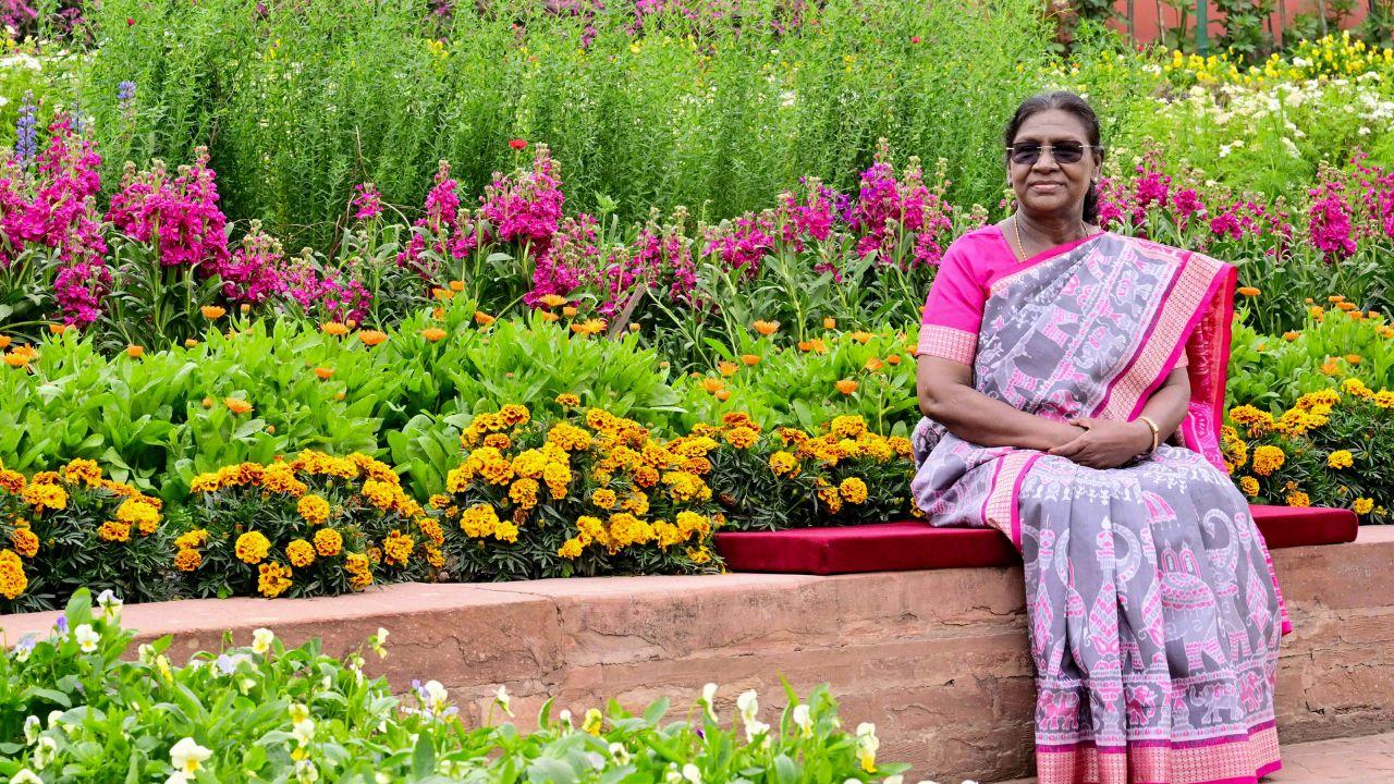 <p>Amrit Udyan will be open for public viewing from February 3 to March 31, 2026, between 10 a.m. and 6 p.m., with last entry at 5 p.m.; the garden will remain closed on Mondays and on March 4 on account of Holi</p>