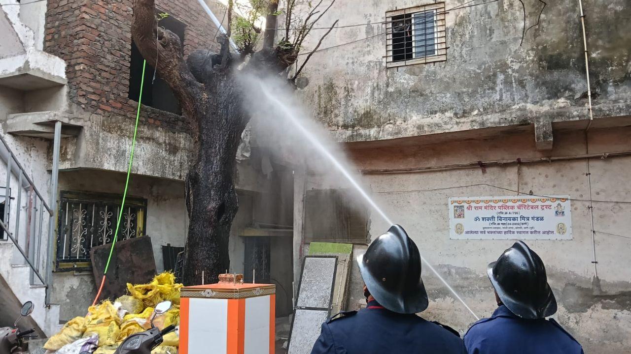 Thane: Tree catches fire near Ram Mandir, quickly extinguished