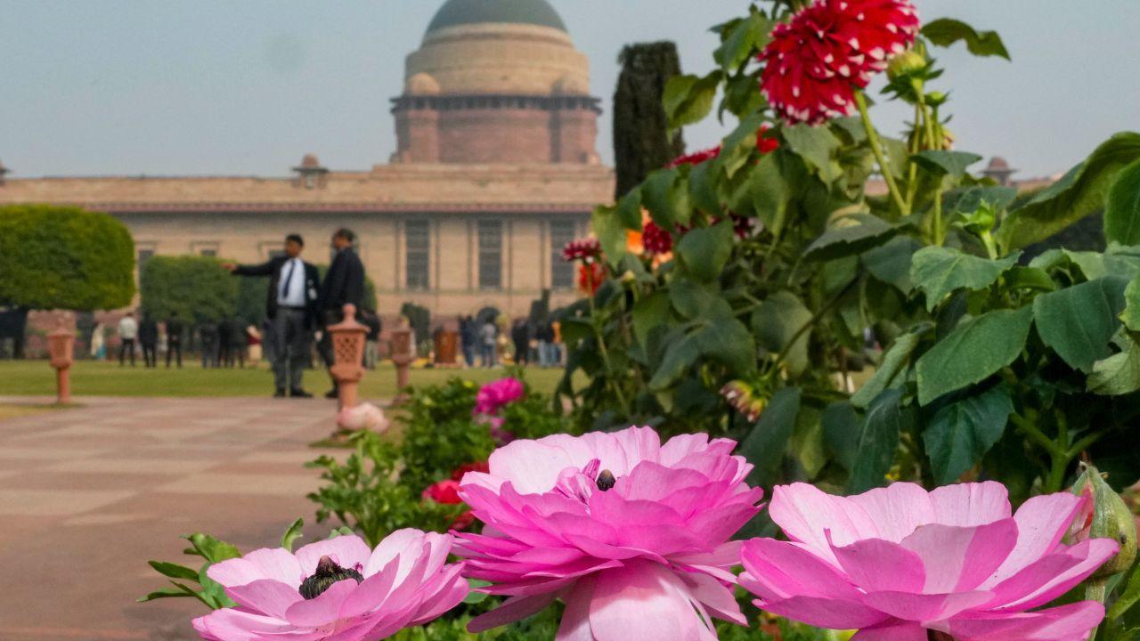 <p>The route for the visitors will be Bal Vatika - Plumeria Garden &ndash; Banyan Garden - Bonsai Garden &ndash; Babbling Brook - Central Lawn - Long Garden - Circular Garden</p>