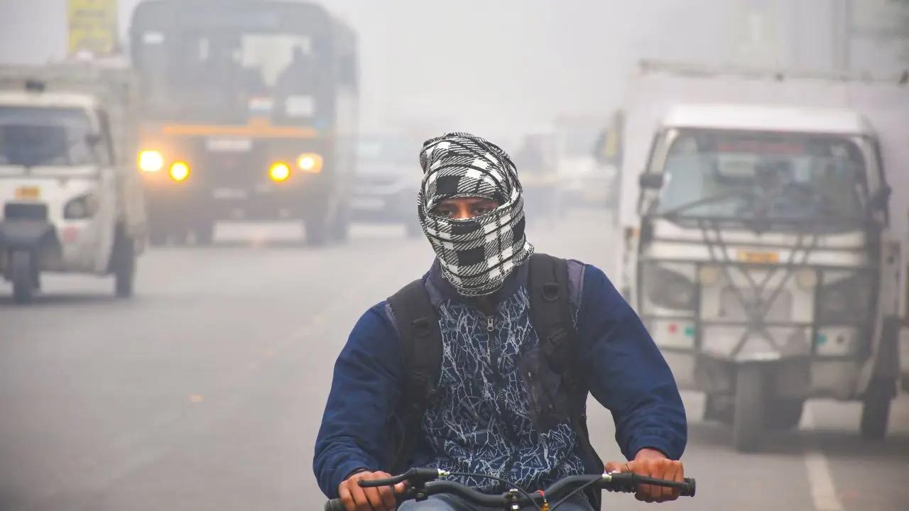 A cyclist commutes during a cold and foggy winter morning in Prayagraj, Uttar Pradesh