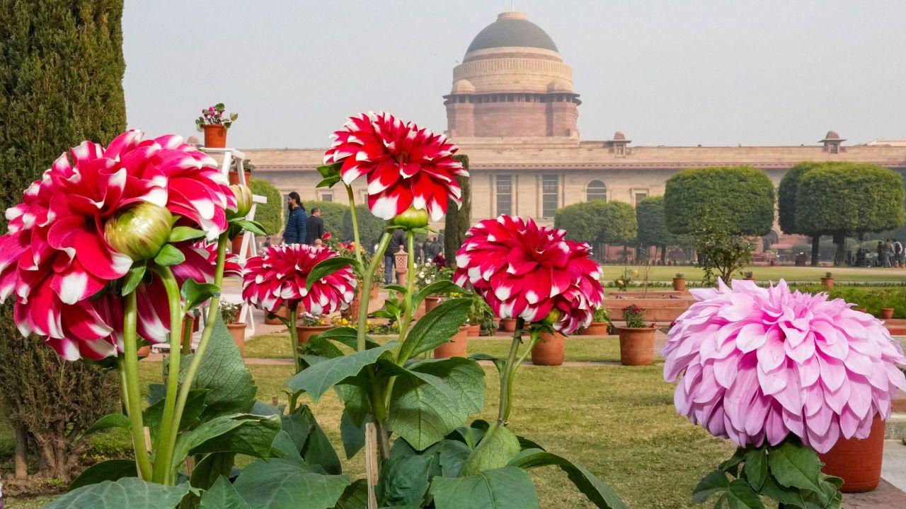 <p>Special viewing days at Amrit Udyan have been earmarked for Defence Personnel (March 3), Senior Citizens (March 5), Women and Tribal Women&rsquo;s SHGs (March 10), and Divyangjan (March 13)</p>