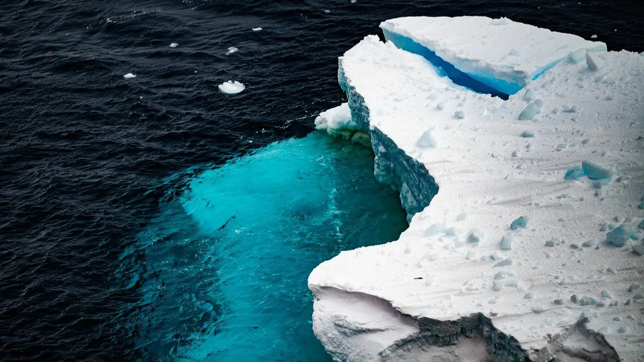 Shark spotted for the first time in Antarctica's near-freezing deep waters