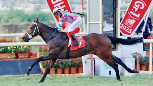 PBMM turns 37 with glamour, history and a Toyota Glanza up for grabs