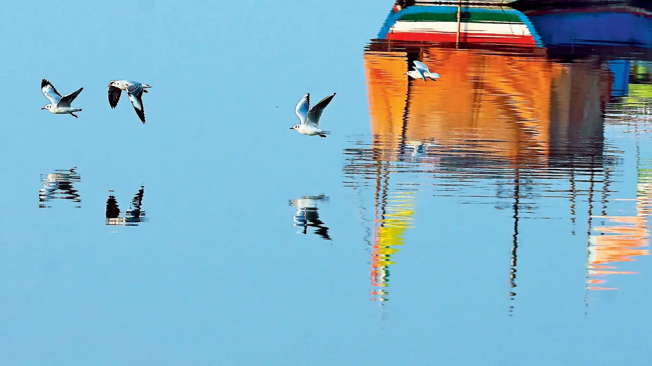 Mumbai Diary: Sunday Dossier