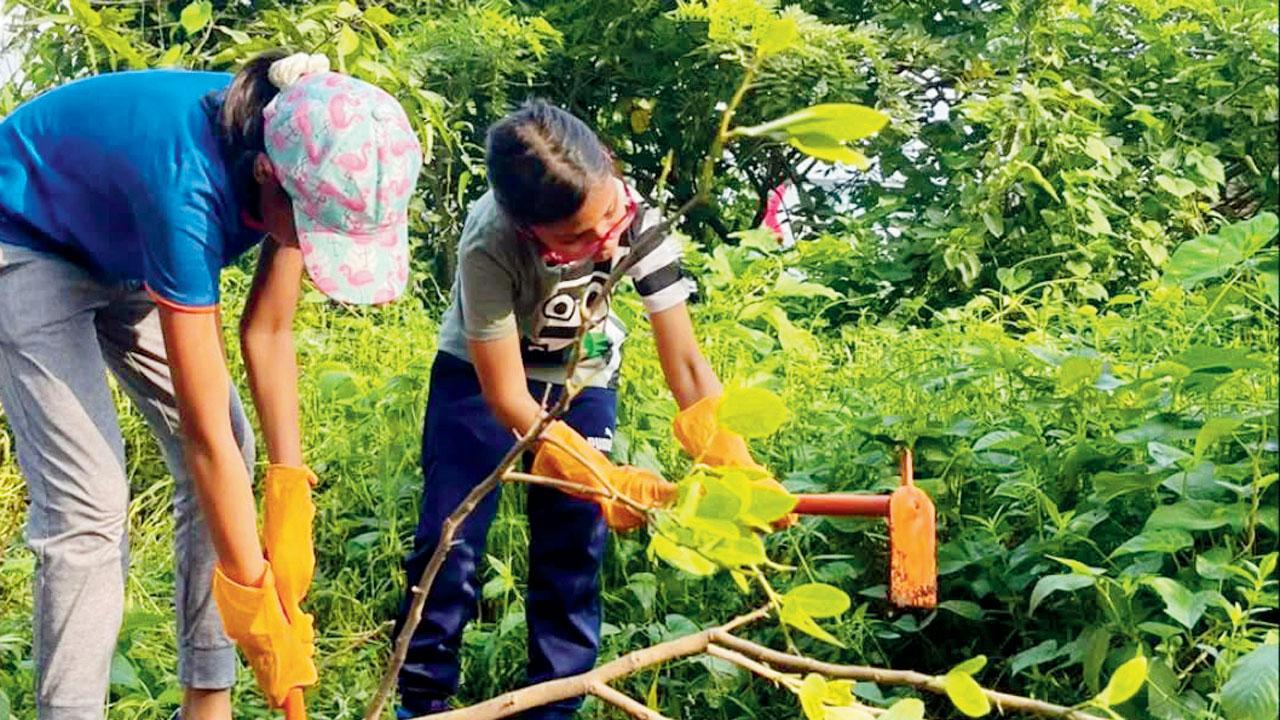 Volunteers plant fruit trees in  Aarey Forest. Pic Courtesy/ @waghoba.foundation