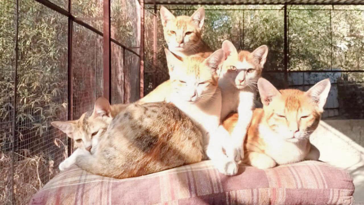 Pic Courtesy/ @pasujeeva