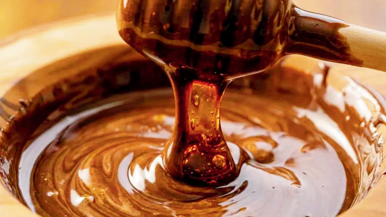 Brazilian researchers create honey-cocoa blend using stingless bee honey