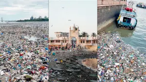 How an initiative by a Breach Candy teen is now helping track coastal pollution