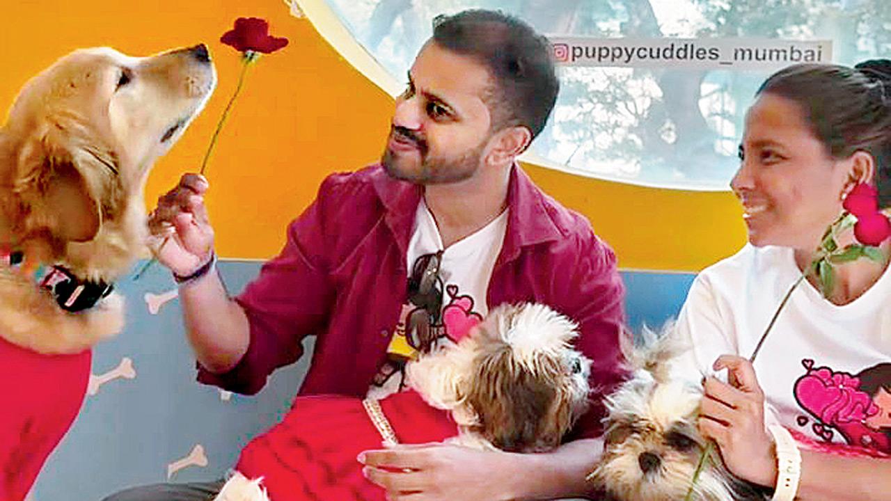 A couple at the dog café.  PIC COURTESY/PUPPY CUDDLES