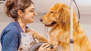 Check out these unique experiences to celebrate Valentine's Day with your pets