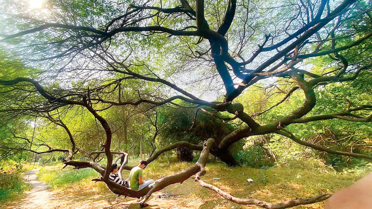 PIC COURTESY/@mumbai.vann