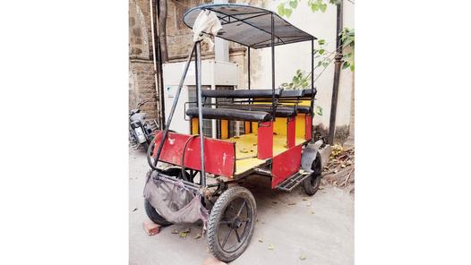 Mumbai police seize horse-drawn carriage operating despite court ban