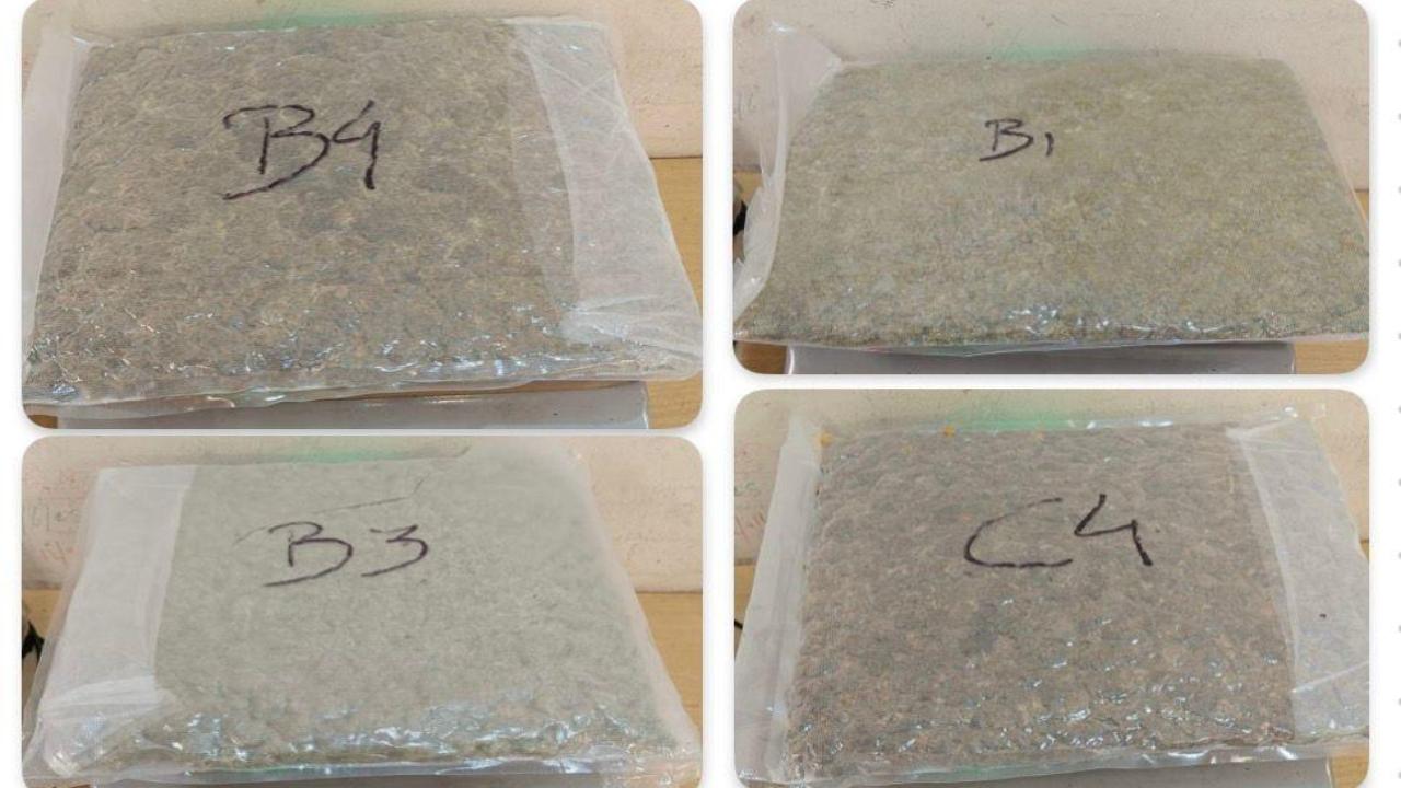 Mumbai Customs seize 24 kg of hydroponic weed, 1.3-kg gold in a week; 6 arrested
