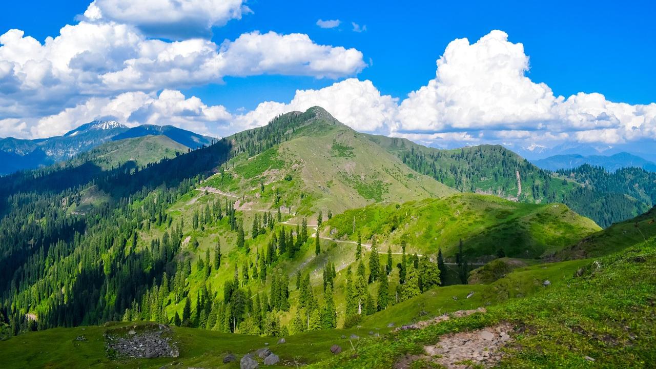 1,763 forest fires affecting 4,100 hectares recorded in Jammu over last 3 years