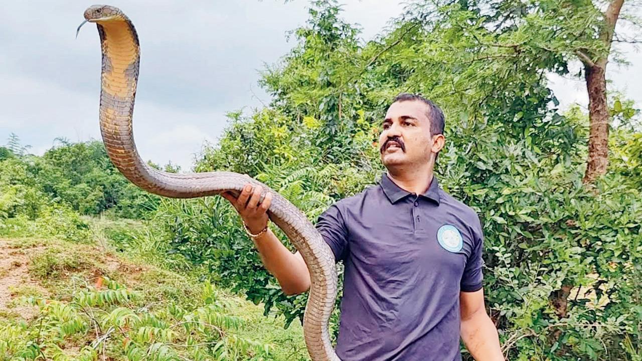 Wildlife influencer arrested in Rs 2.6 crore drug trafficking case