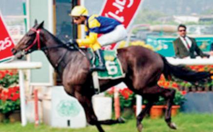 Lady Scarlet. Pics/RWITC