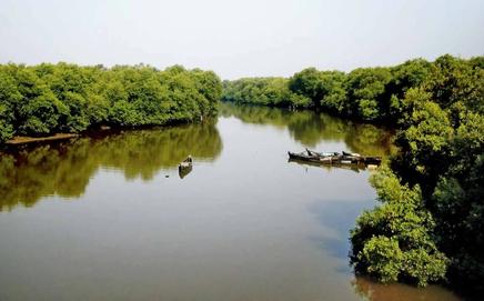 Image for representational purpose only. Photo Courtesy: File pic