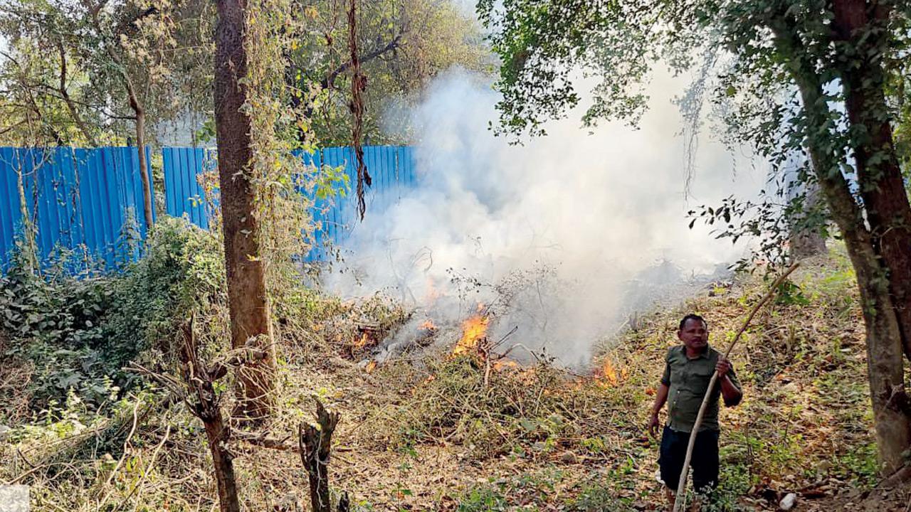 Dry vegetation being burnt at the Manpada site, where environmentalists allege preparatory work had begun despite objections over the mining permission