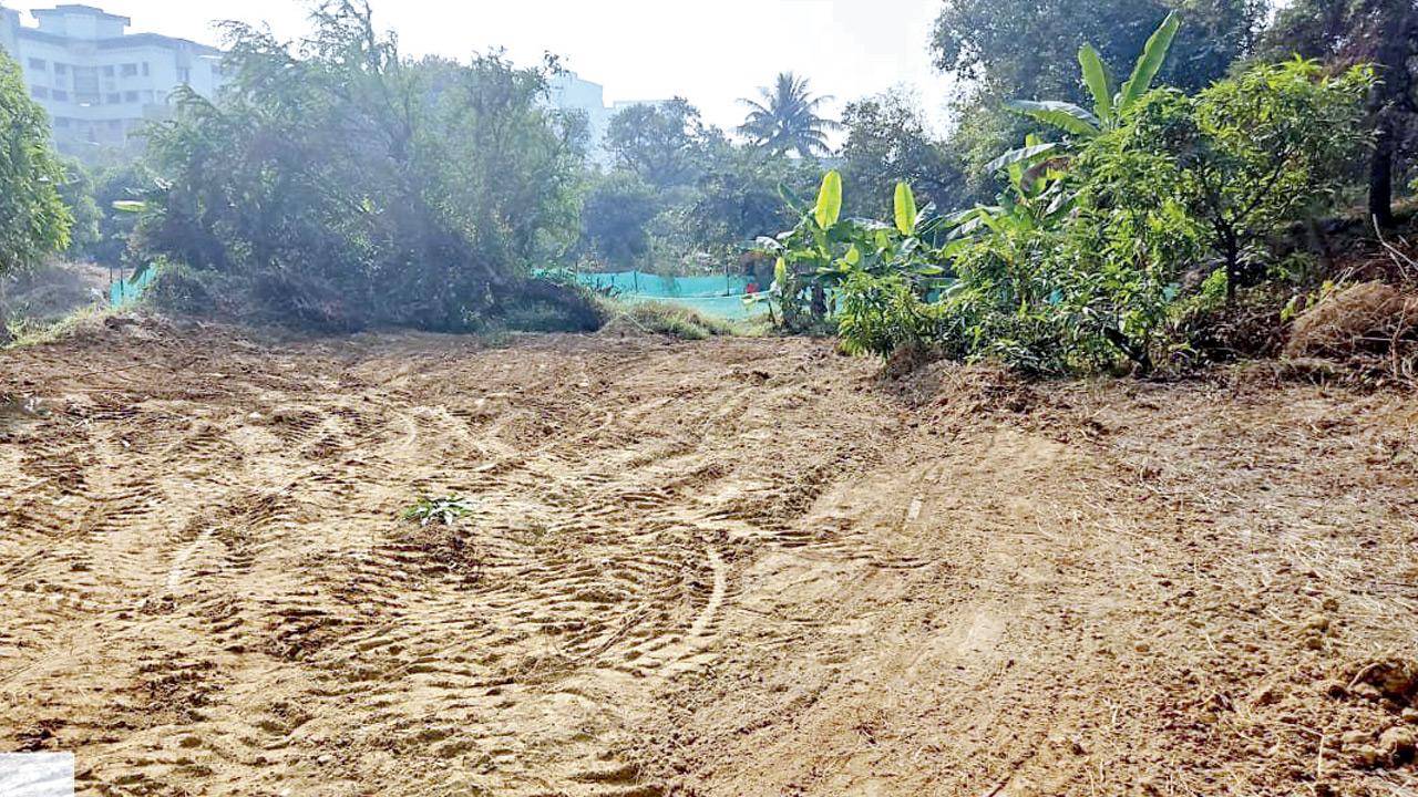 A flattened patch of land at the Manpada site