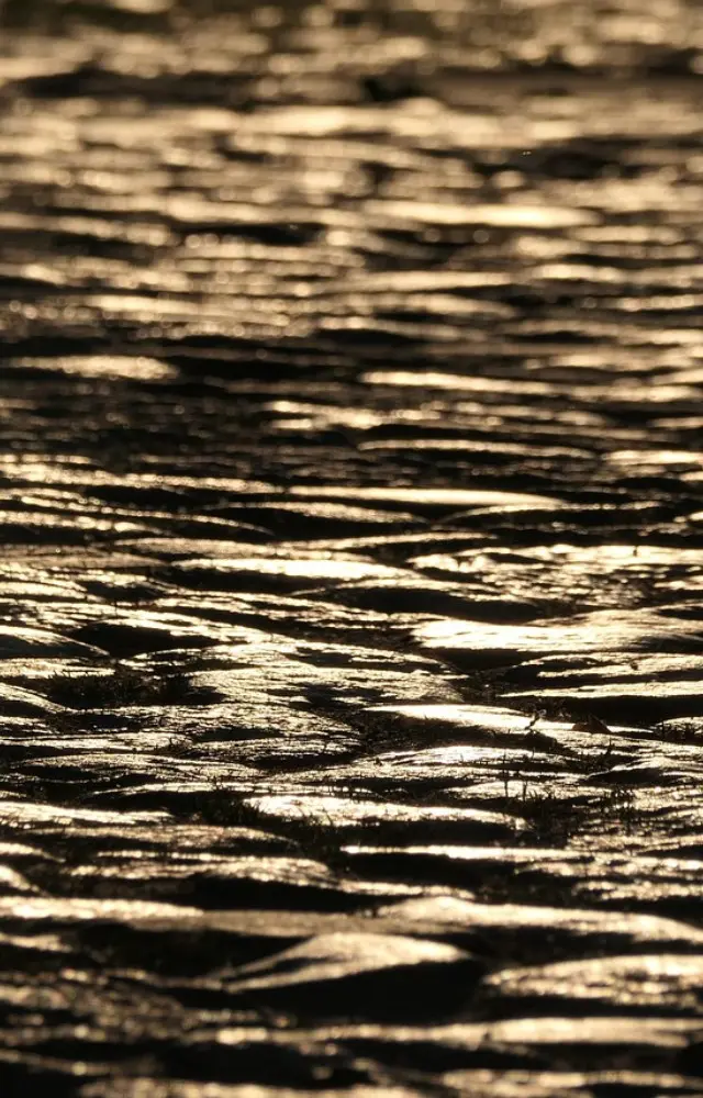 National Science Day 2026: 5 lesser-known facts