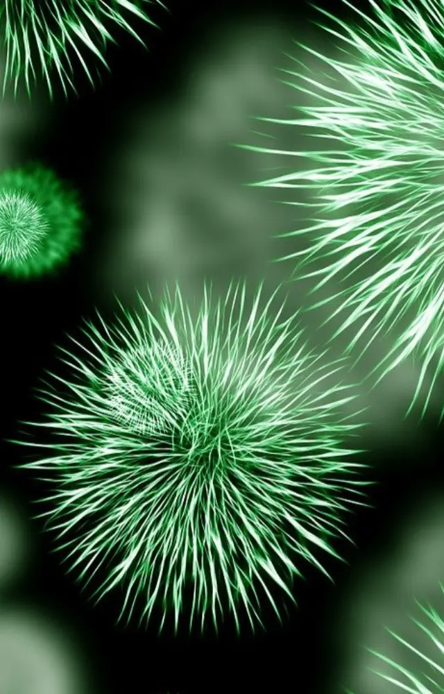 Rare Disease Day 2026: 5 lesser-known facts