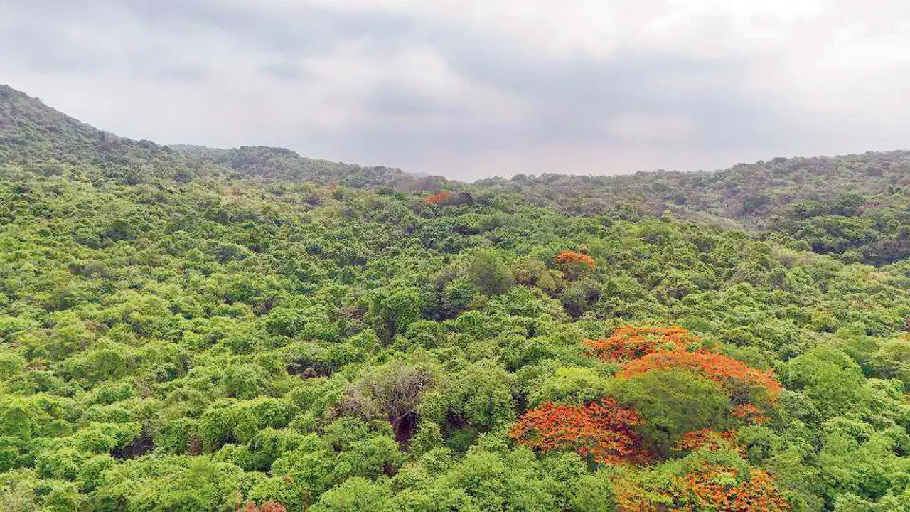 Thane: Forest department objects to temporary mining permit near SGNP