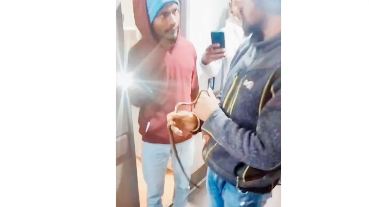 The snake, after being rescued at Solapur station