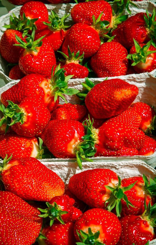 Strawberry Day 2026: Here are 5 unique facts about the fruit