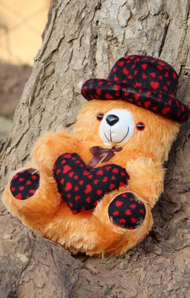 Teddy Day 2026: Know 5 unique facts about the soft toys