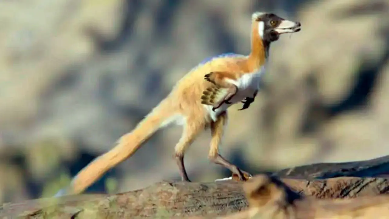 Tiny dinosaur Alnashetri cerropoliciensis discovered in Patagonia