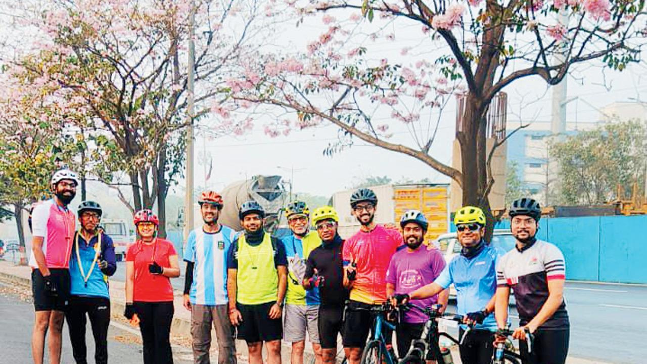 Cyclists under the Pink Trumpet trees. PIC COURTESY/CHIRAG SHAH