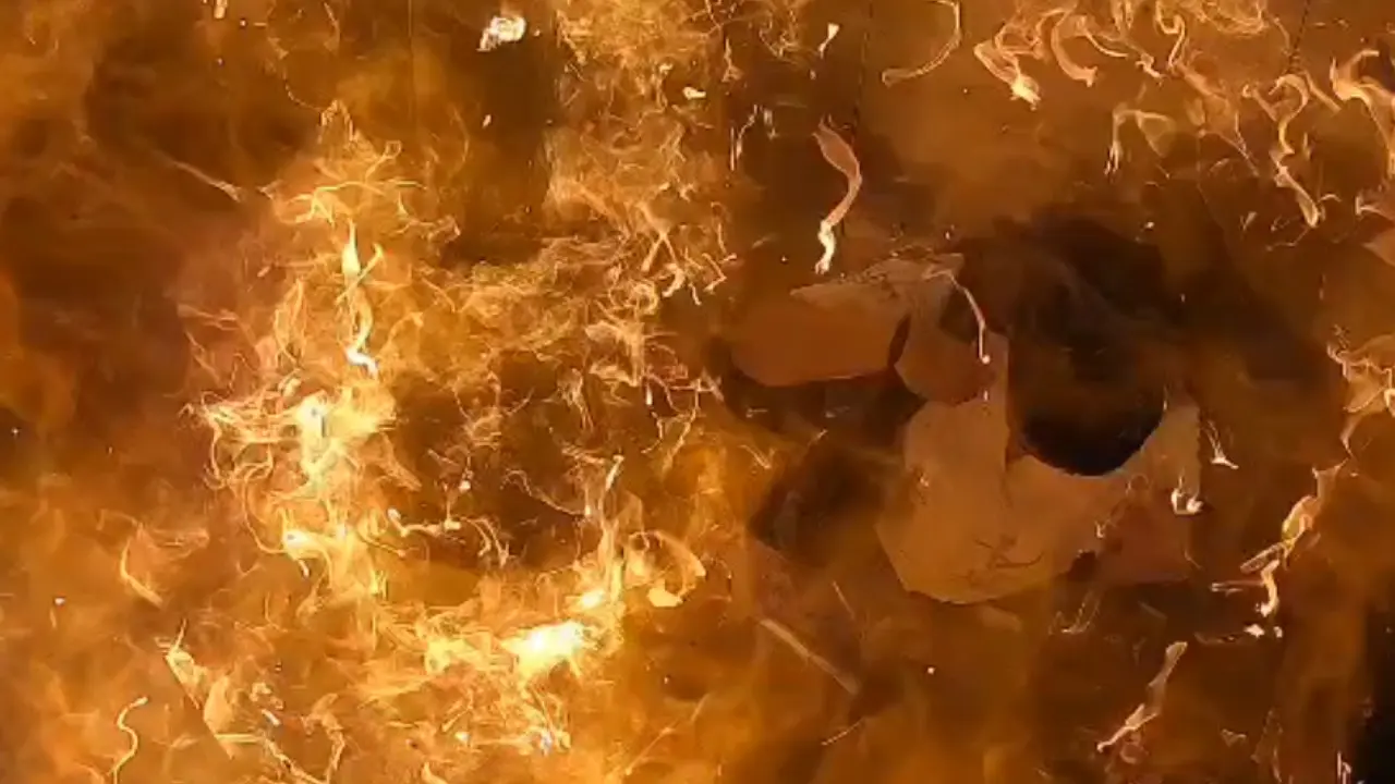 IN PHOTOS: Two injured after bundle of balloons explode inside lift in Mumbai