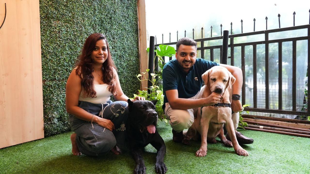 Travel Season And Pet Anxiety: What Pet Parents Should Know