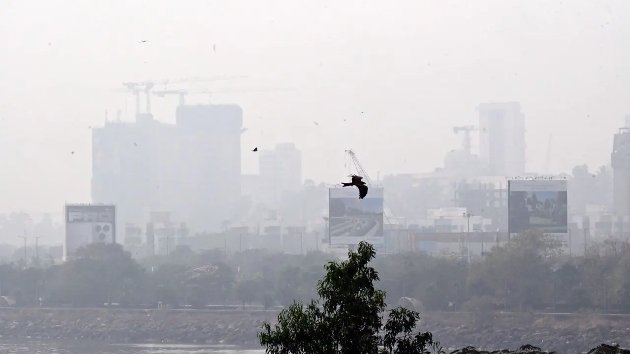 Mumbai weather update: City wakes up to haze as AQI remains in moderate category