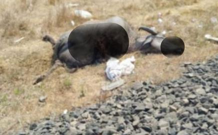 The incident caused several trains to come to a standstill. PIC VIA RAJENDRA B AKLEKAR