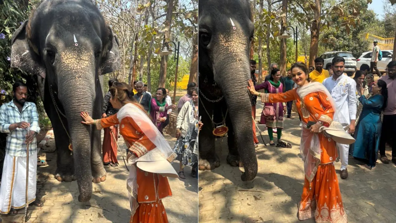 Madhoo reveals her spirit animal, says 'they are gentle and giant'