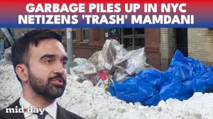 New York stinks with dog poop and frozen garbage: Mamdani under fire